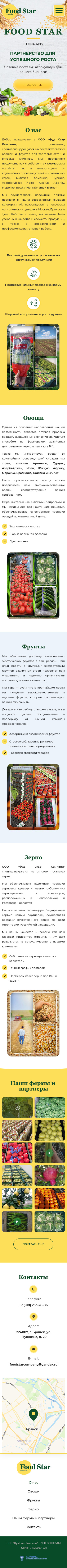 Главная страница